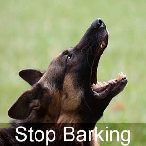 Ultrasonic Dog Whistle for Dogs Animals Stop Barking Recall Training Pet Accessories Professional Silent Dog Whistle