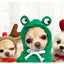 Cute Fruit Pet Costume Dog Clothes for Small Dogs Warm Fleece Doggy Hoodies Pet Dog Cat Clothing Puppy Sweater for Chihuahua Pug