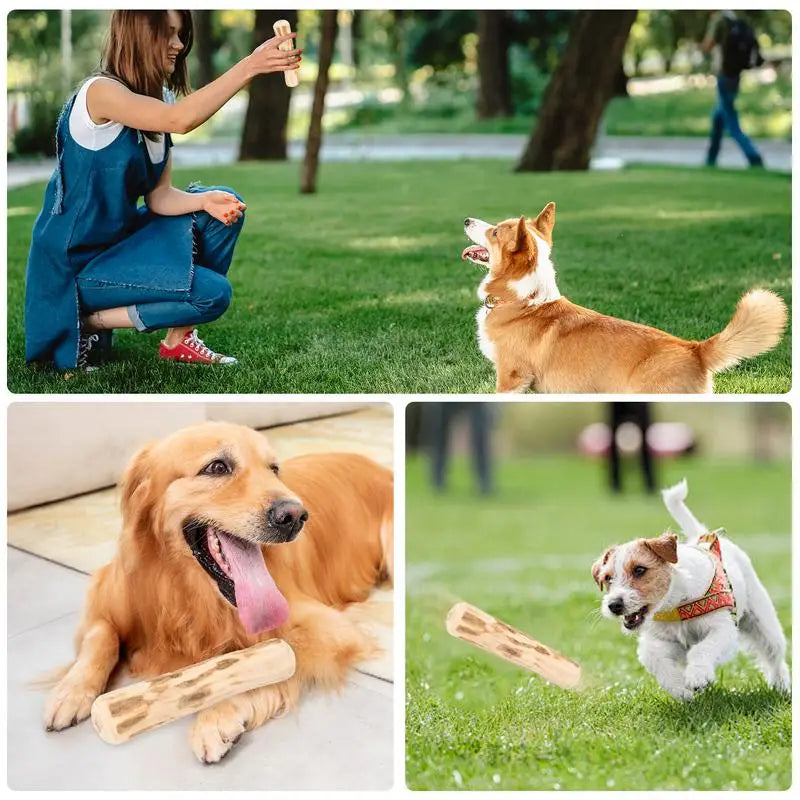 Real Wooden Dog Chew Toys Safe Interactive Pet Chew Stick Natural Dog Teeth Cleaning Hard Portable Sticks For Puppy Travel Toy