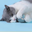 Pet automatic cat teasing ball cat toy for self fun and relaxation, rolling ball pet gravity cat toy
