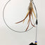 Interactive Cat Toy Handfree Cat Stick Playing Kitten Playing Teaser Wand Toy Suction Cup Bird/Feather Cat Wand Pet Supplies