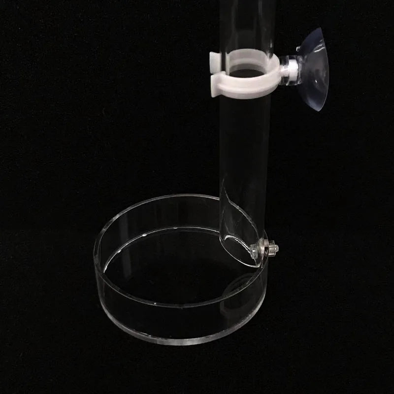 1Pcs Acrylic Aquarium Feeder Tube Dish Transparent Fish Tank Shrimp Snail Shrimp Food Feeder Bowl Aquarium Feeding Accessories