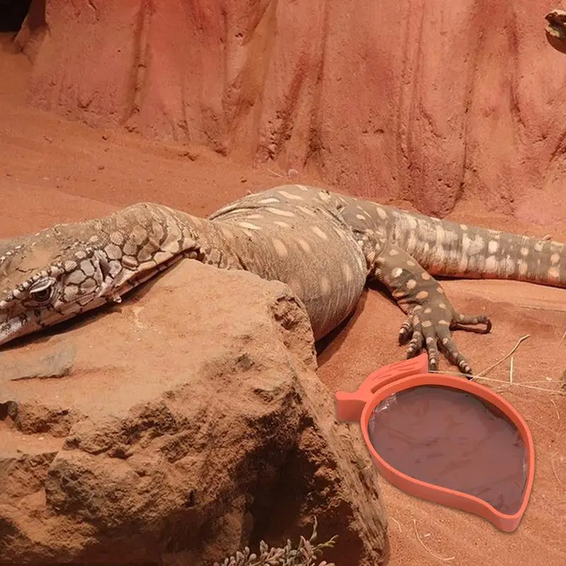 Mango Shape Reptile Water Dishes And Food Bowls For Turtle Tortoises Lizard For Pets Reptile Snakes Geckos Lizards Spiders