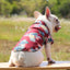 Pet Dog Clothes Cartoon Clothing Puppy Dogs Soft Vests Summer Shirt Casual T-Shirt for Small Middle Pet dog shirt Pet Supplies
