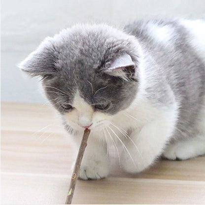 Cat Toys Catnip Chew Toys Funny Cigarette Design Cat Molar Toothpaste Stick Natural Actinidia Silvervine Pet Cat Cleaning Teeth