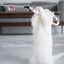 Cat Toy Feather Cat Teaser Wand Cat Interactive Toy Funny Caterpillar Colorful Rod Teaser Wand Pet Cat Supplies Cat Accessory