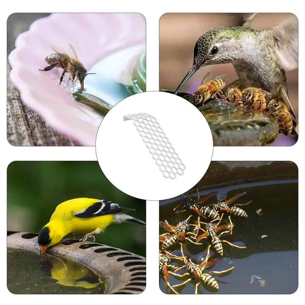 Bee Drinking Station Floating Bee Water Ladder Station Special Design Drinking Water Tool For Pond Any Swimming Pool Bird Bath
