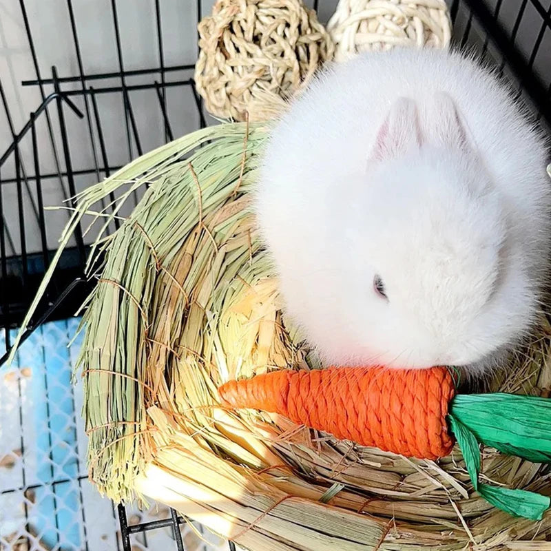 Natural Paper Rope Rabbit Puzzle Toy Grass Weaving Radish Carrot Shape Pet Accessories Guinea Pig Chinchillas Small Animals Toys