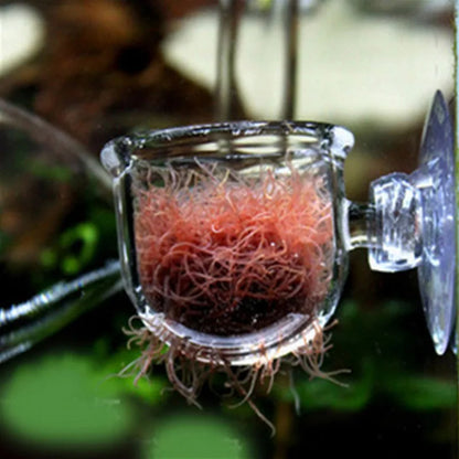 1Pc Glass Aquarium Feeder Hanging Fish Tank Mini Crystal Pot Polka Water Potted Planting Cylinder Cup Aquarium Decor Accessories