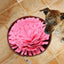 Pet Dog Sniffing Mat Anti-Slip Pet Foraging Mat Interactive Sniff Mat Flower-Shaped Feeding Puzzle Toy Sniffing Interactive
