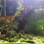 2Pcs Natural Tree Bark Aquarium Decoration Wood Artwork Decor Landscaping Ornaments Decor Fish Tank Background Moss Decor