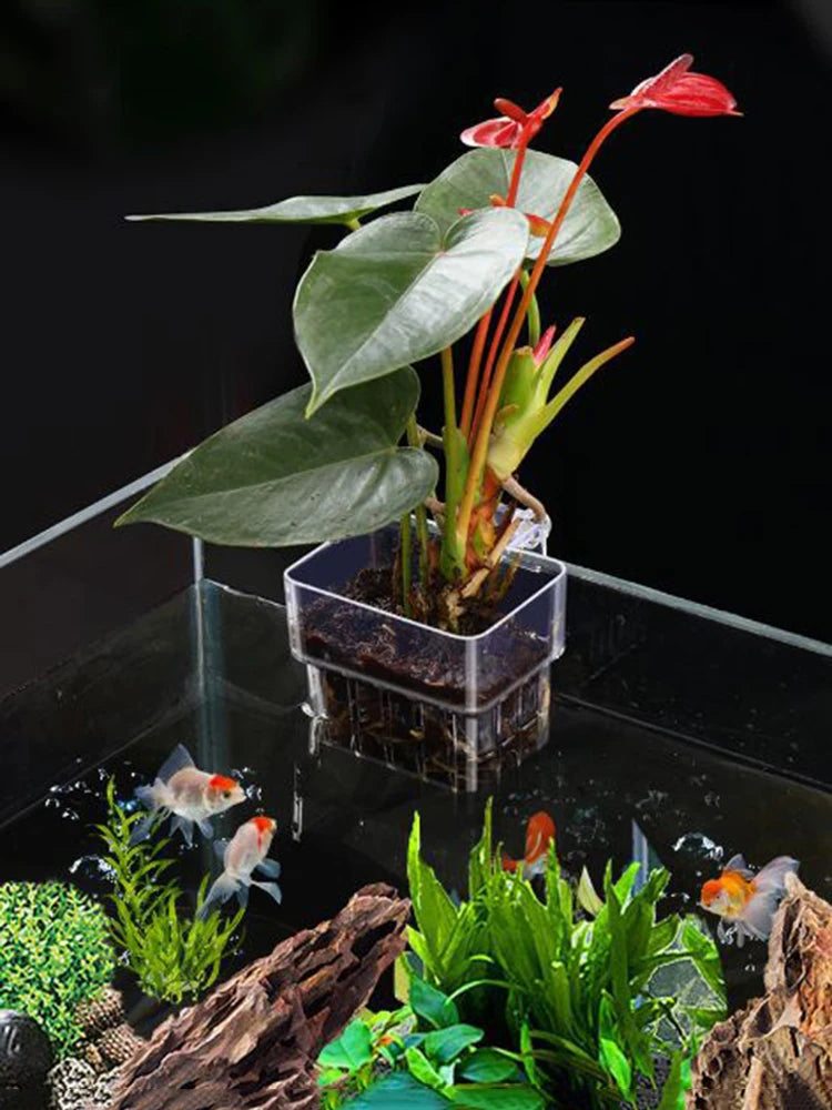 Aquarium Planting Basket Hydroponic Support Hangable Fish Tank Water Grass Cup Aquatic Plant Holder Wall Hanging Flower Pots
