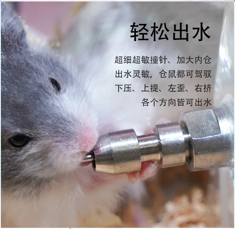 Silent Fine Needle Stainless Steel Striking Needle Water Bottle, Dragon Cat Beige Long Hair  Feed Water, Drinking Bottle