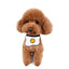 Adjustable Pet Dog Cat Saliva Towel Lace Decorative Bibs Scarf Bandana Collar Dog Accessories Small Dogs Bibs Cute Accessories