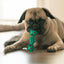 Chew Toys for Dogs Squeaky Dog Toys Pet Chewing Toys for Teething Interactive Training Toys for Small Medium Large Dogs