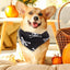 Dog Scarf Pet Costume Saliva Towel Adjustable Pumpkin Dog Scarf Triangle Pet Scarf Skull Washable For Boy Girl Toy