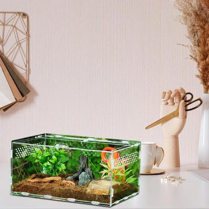 Acrylic Reptile Feeding Box Insect Lizard Spider Breeding Cage Hatching Container All-round Transparent Feeding Box