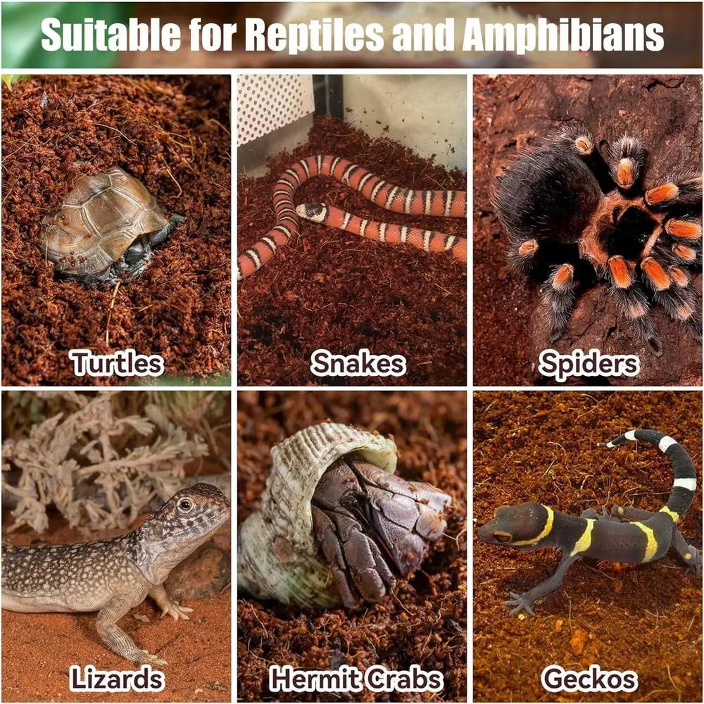 Coconut Substrate For Reptile Coconut Coir Bricks Cocofiber Substrate Reptile Bedding Natural Husk Bedding Moisturizing