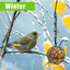 4Pcs Metal Suet Ball Bird Feeder Set with Hanging Chain Squirrel Proof Bird Feeders for Outdoor Garden Hummingbird Feeders