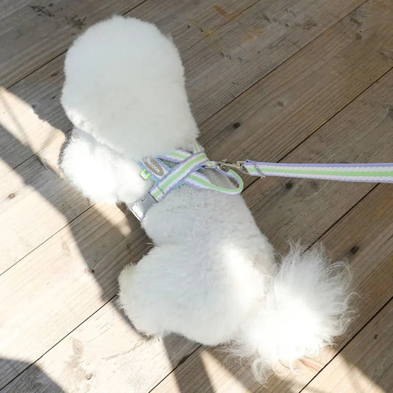 Saddle Style Corgi Puppy Dog Harness and Leash Set Portable Pet Harnesses for Small Medium Dogs mascotas Accessories Supplies