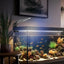 Fish Tank Clip On Light LED Aquarium Light Clamp Fish Light Lamp Fish Tank Lamp Bright Small Fish Tank Light Plant Aquarium