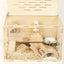 Smooth Hamster Hideaway Wooden Hamster House with Climbing Ladder Small Pet Castle Arch Bridge for Dwarf Mice Gerbils Small Pets