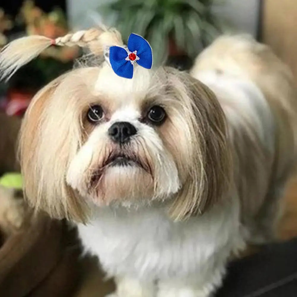 Pet Hair Accessories Bow Headdress Headband Cat Accessories Creative Princess Style Headdress Dress Up Dog Hair Clip Accessories