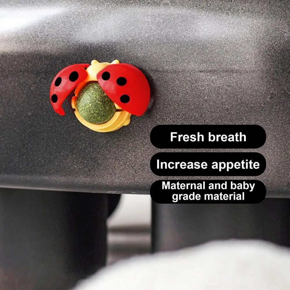 Cat Catnip Ball Toy Wall Mounted Ladybug Shape Kitten Chew Toy Edible Toy Ball With Catnip Cat Teething Toys For Indoor Outdoor