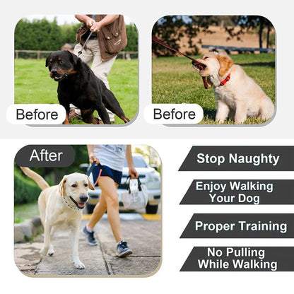 Dog Collar for Anti-Pull Training Quick-Release Metal Buckle Adjustable Stainless Steel Collar for Dogs Pet Prong Choke Collar