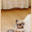 New Smart Cat Dog Toys Automatic Rolling Ball Fake Tail Rechargeable Electric Cat Bite Resistant Interactive Toy Pet Products