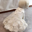 Dog Dress for Small Dogs Prom Party Princess Wedding Dresses Luxury Design Girl Dog Clothes Pomeranian Puppy Cat Costume Outfits