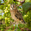 Farm Protector Bird Scarer Owl Scarecrow Scarer Pendant Garden Protector Pendant Waterproof With Bell Fake Bird Scarecrow Bird