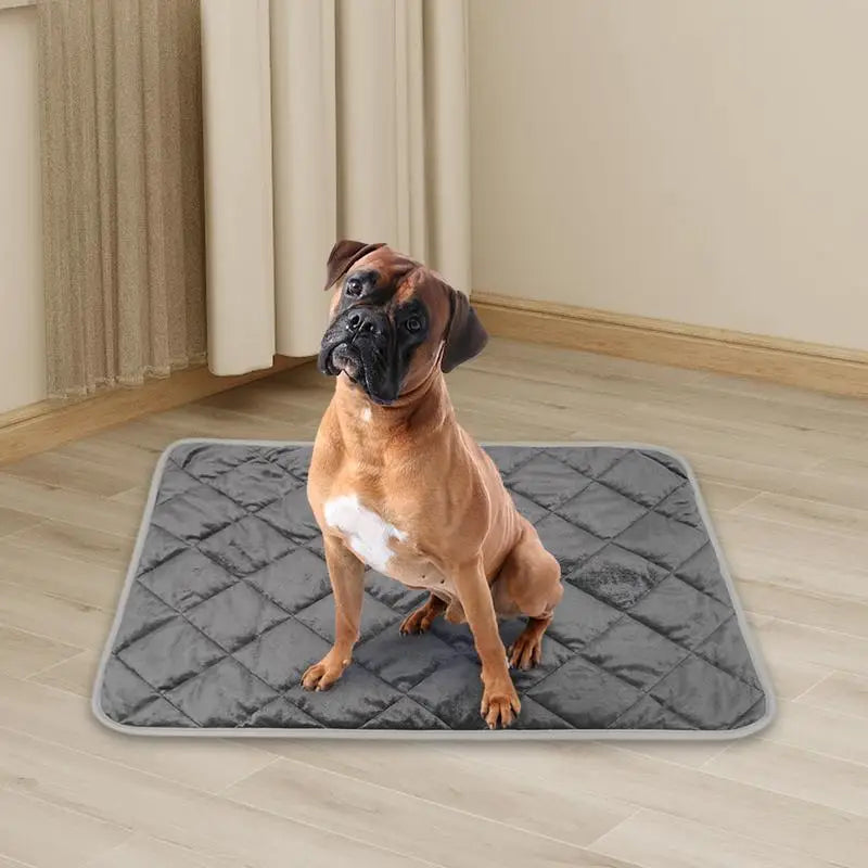 Heating Pad for Cats and Dogs Pet Blankets Temperature Sensing Self Warming Heated Cat Mat, Thermal Blanket, Anti Slip Pads