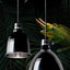 Reptile 5.5/8.5/10 Inch Deep Dome Lampshade Pet Snakes Lizards Geckos Terrariums Anti-scald Protective Shade Light Fixture