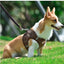 Dog Harness Dog Traction Rope Corduroy Breathable Dog Chest Strap Reflective Pet Chest Strap Walking Rope Set