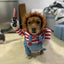 Halloween Funny Dog Clothes for Small Medium Dogs Cats Party Dressed Up Cosplay Costumes Bulldog French Chihuahua Pet Outfits