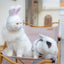 Plush Rabbit Ears Pet Dog Accessories Cosplay Cat Hat Winter Lovely New Year Christmas Puppy Headgear Soft Velvet Pet Supplies