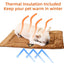 Pet Self Heating Bed Insulation Warm Pet Kennel Pad Cold Weather Pet Beds Winter Dog Beds For Indoor Outdoor Floors Pet Houses