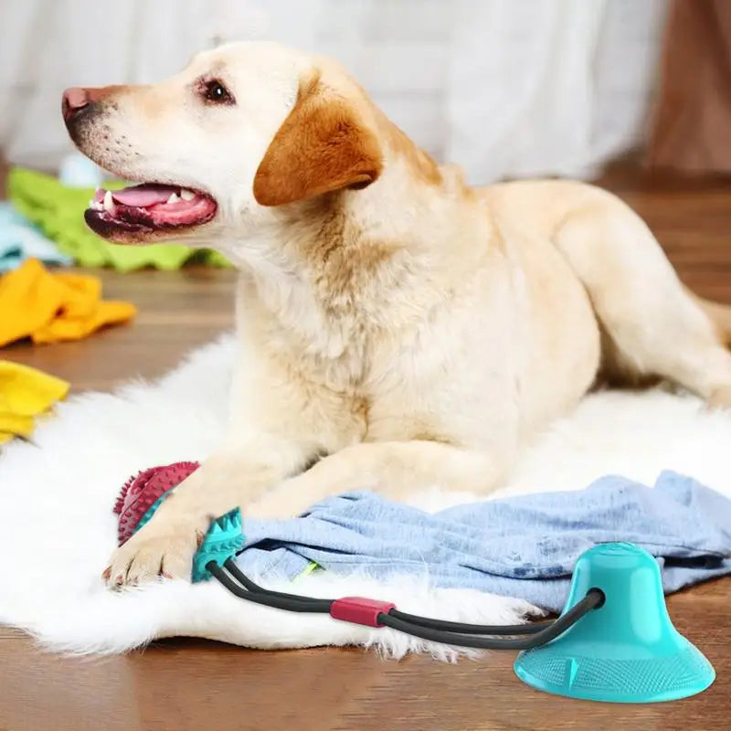 Chew Toys For Dogs Soft Chew Toys Slow Feeder Bite-Resistant Pet Toys Dog Teeth Cleaning Ball With Suction Cup For Living Rooms