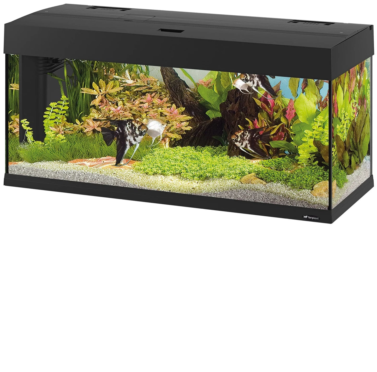 Ferplast Dubai 100 LED - 190 L. Glass Aquarium with Two LED Lamps, Internal Filter and Heater. 2 Colours.