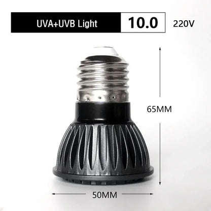 5.0/10.0 Full Spectrum UVA UVB LED Reptile Turtle Basking Light Sun Lamp Sunbathe Heat Lamp for Lizard Reptiles Amphibians