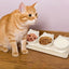 Dog Bowls Elevated Anti-Vomit Tilted Water And Food Feeder With 3 Dishes Pet Feeding Accessories For Cat And Dog Bowls For Dry