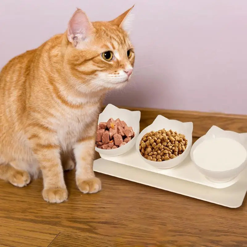 Dog Bowls Elevated Anti-Vomit Tilted Water And Food Feeder With 3 Dishes Pet Feeding Accessories For Cat And Dog Bowls For Dry