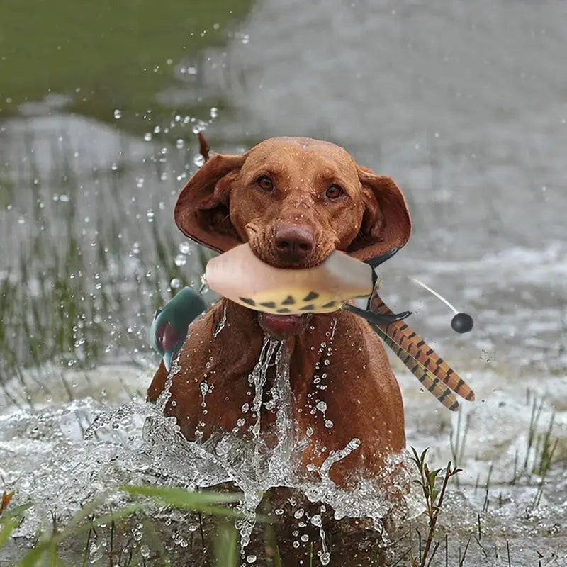 Duck Bumper Toy Dog Retriever Outdoor Training Toy Dog outdoor Training Duck Toy For Dogs Simulation Animal Shaped Toys for Pet