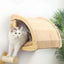 1 Piece Wooden Cat Wall Mounted House or Hammock with Climbing Ladder and Scratching Post for Kitten Playing and Sleeping