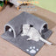 Cat Tunnel Bed Pet Cave Bed Tunnel Cat Tube Toy Removable Portable Cat Bed Play Tunnel And Mat For Cat Guinea Pigs Dog Rabbits