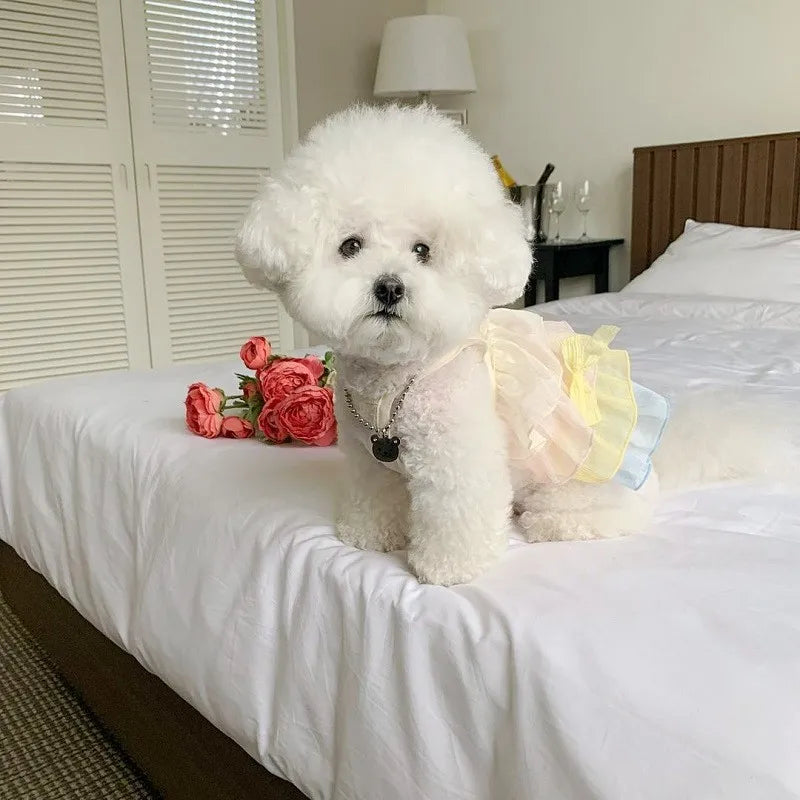 Dog Dress Chiffon Dog Princess Skirt Pet Vest Small Dog Outfit Puppy Summer Clothes Chihuahua Pug Dog Wedding Girls Dog Costume