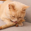 1 Pc Cat Toys Silvervine Chew Stick Polygonum Kitty Raffia Grass Pet Supplies Cleaning Teeth Stick Pet Bite Cat Toy Hemp Rope