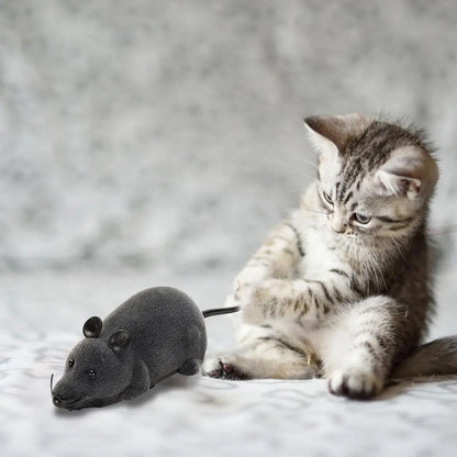 Robotic Mouse Cat Toy RC Mouse Cat Toy Squeaky Mouse Cat Toy Battery Powered Mimics Motion Of Real Prey Fun Interactive Play