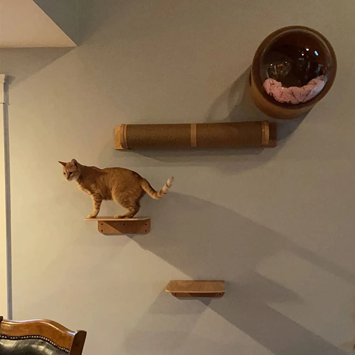 Cat Hammock Perch Thicker Columns Cat Wall Shelves Multi-Functions Cat Scratching Post Claw Sharpener Cat Tree Tower Furniture